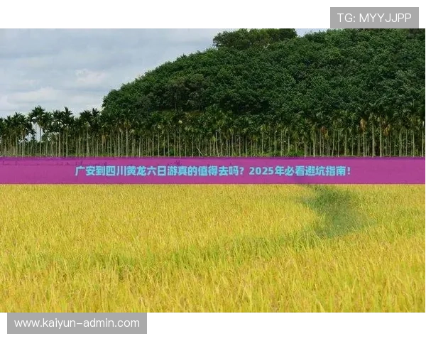 开云波胆算有效流水吗避坑指南兼看极速提现平台对比